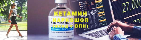 крисы Алексин