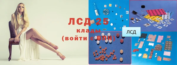 крисы Алексин