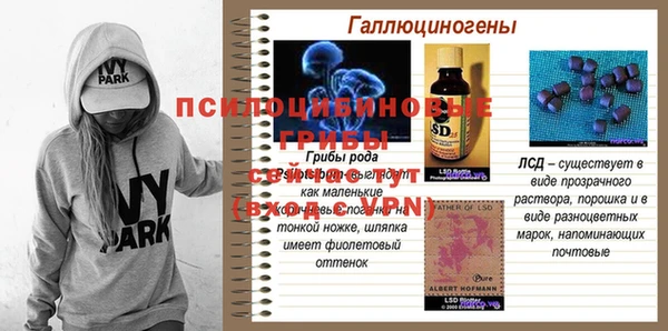 крисы Алексин