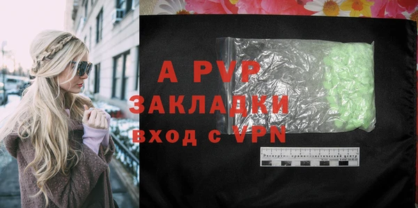 крисы Алексин