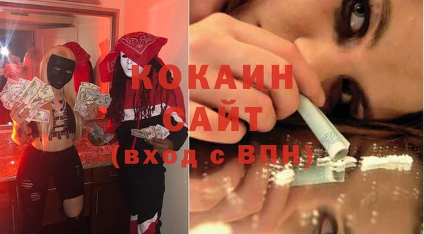 твердый Алзамай