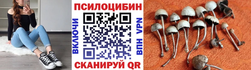 где найти   Бронницы  Псилоцибиновые грибы прущие грибы 